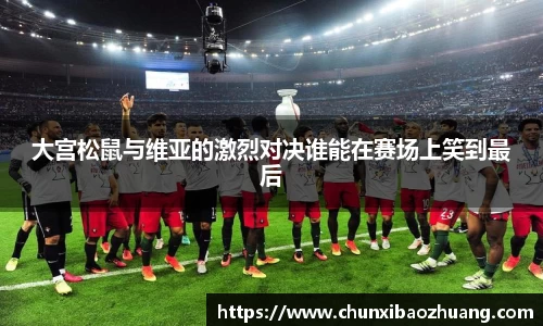 BB贝博艾弗森体育