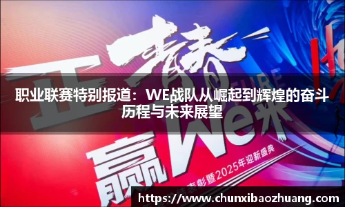 职业联赛特别报道：WE战队从崛起到辉煌的奋斗历程与未来展望